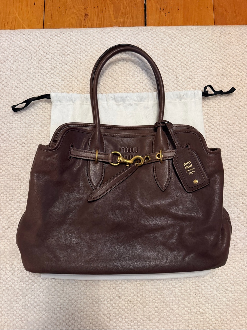 Miu Miu Aventure Nappa Leather Bag in Briarwood